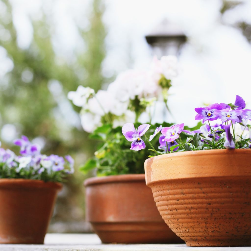 Návrh bez názvu (83)